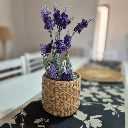 Is Candelaus Apartment