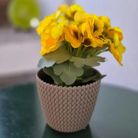 Apartamento Is Candelaus Capoterra