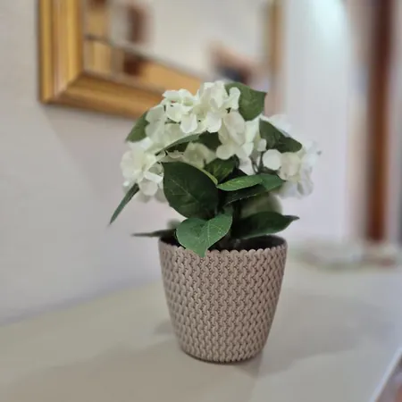 Is Candelaus Apartamento *