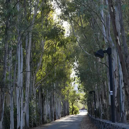 Is Candelaus Capoterra